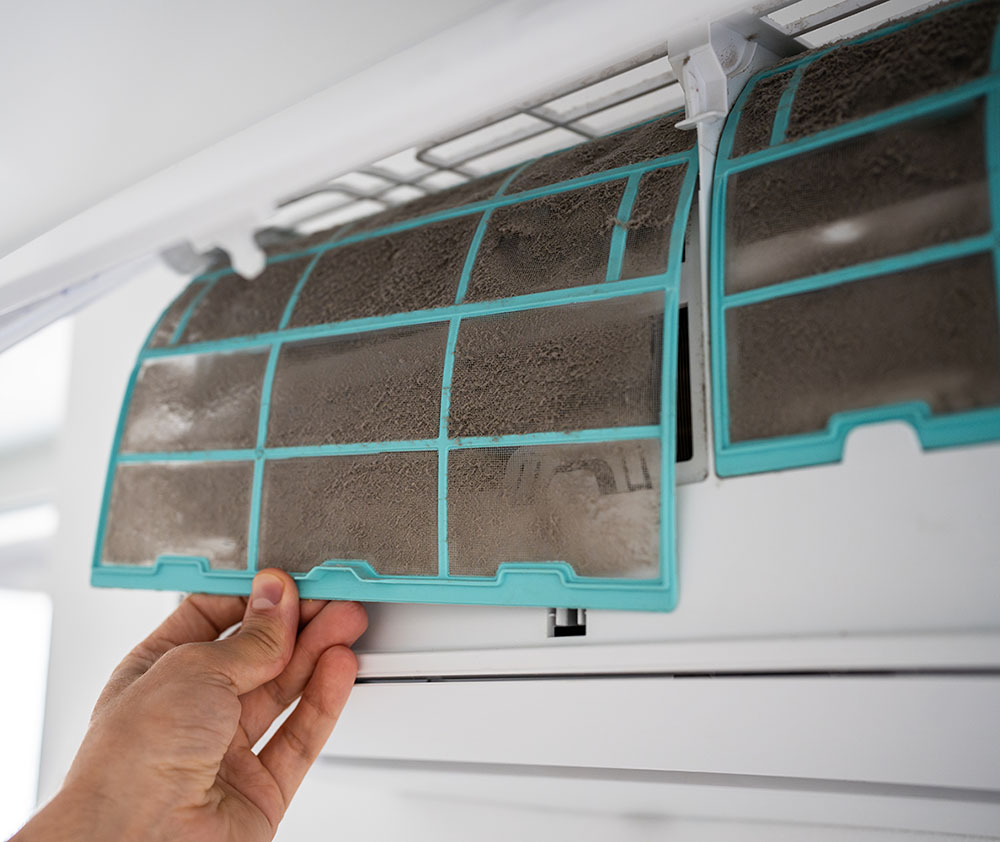 A Small Investment for Year-Round Peace of Mind